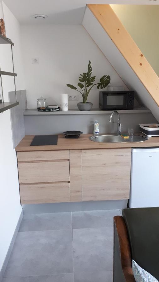 Ferienwohnung Le Chartreuse / Rent4Night Grenoble Exterior foto